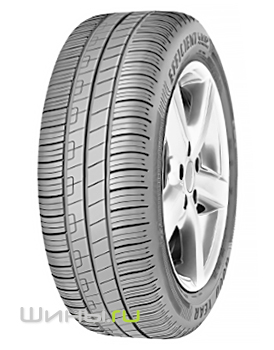   Goodyear EfficientGrip Performance Fl