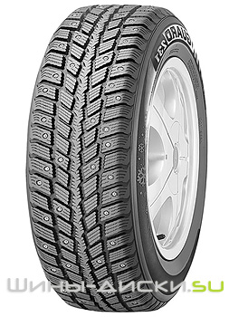  Roadstone Winguard 231