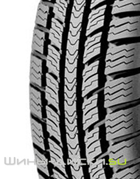 BFGoodrich Winter G