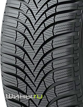 Giti Winter W2