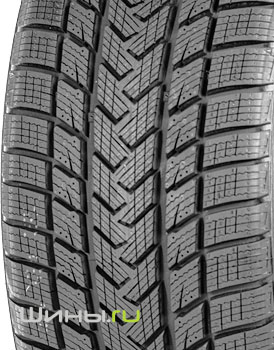 Gripmax SureGrip Pro Winter 255/40 R19