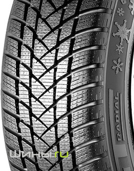 GT Radial Champiro WinterPro 2