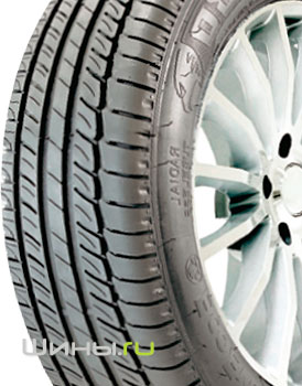 Insa Turbo Eco Evolution Plus