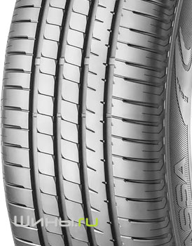 Lassa Competus H/P 2