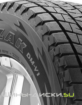 Bridgestone Blizzak DM-V1