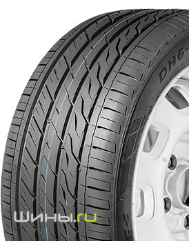 Delinte DH6 RFT 255/45 R20