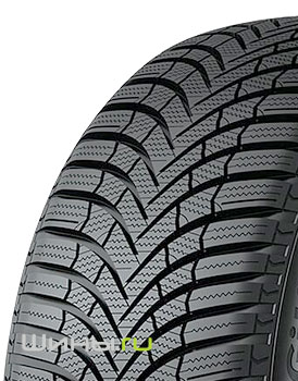 Giti Winter W2