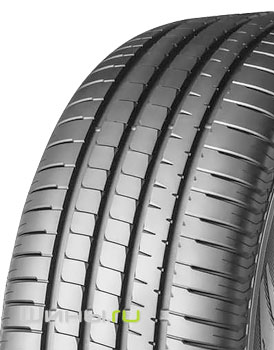 Lassa Competus H/P 2