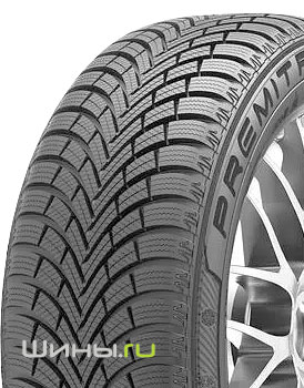 Maxxis Premitra Snow WP6 225/45 R18