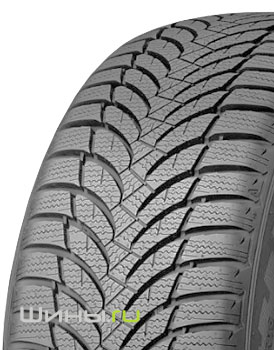 Roadstone Winguard Snow G WH2